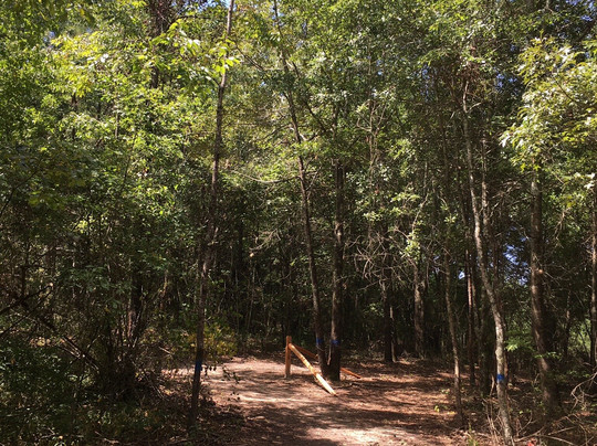 West Walton Park-Loganville必去景点