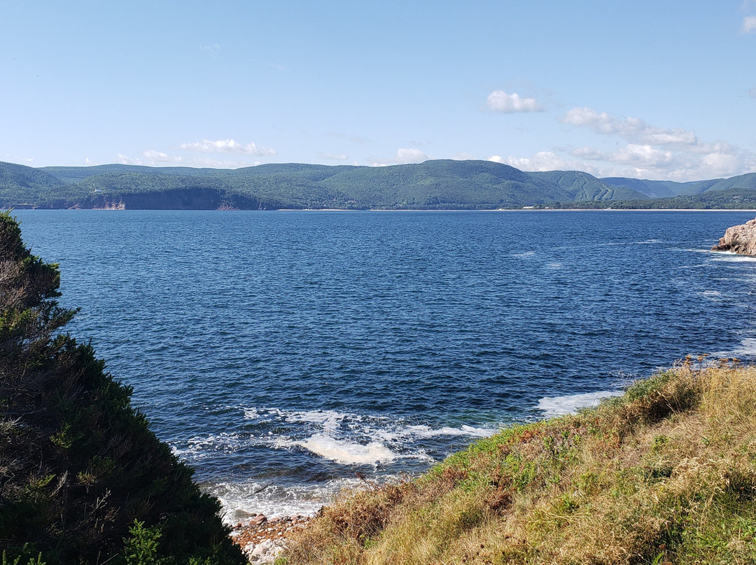 Middle Head Trail景点图片