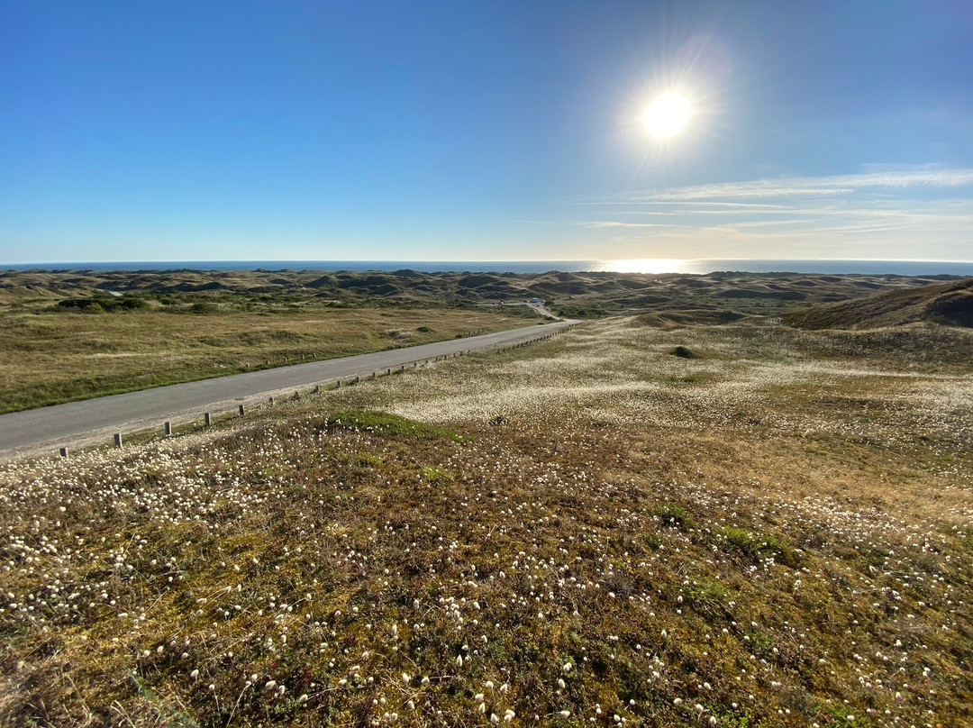 Dune de Biville-La Hague必去景点