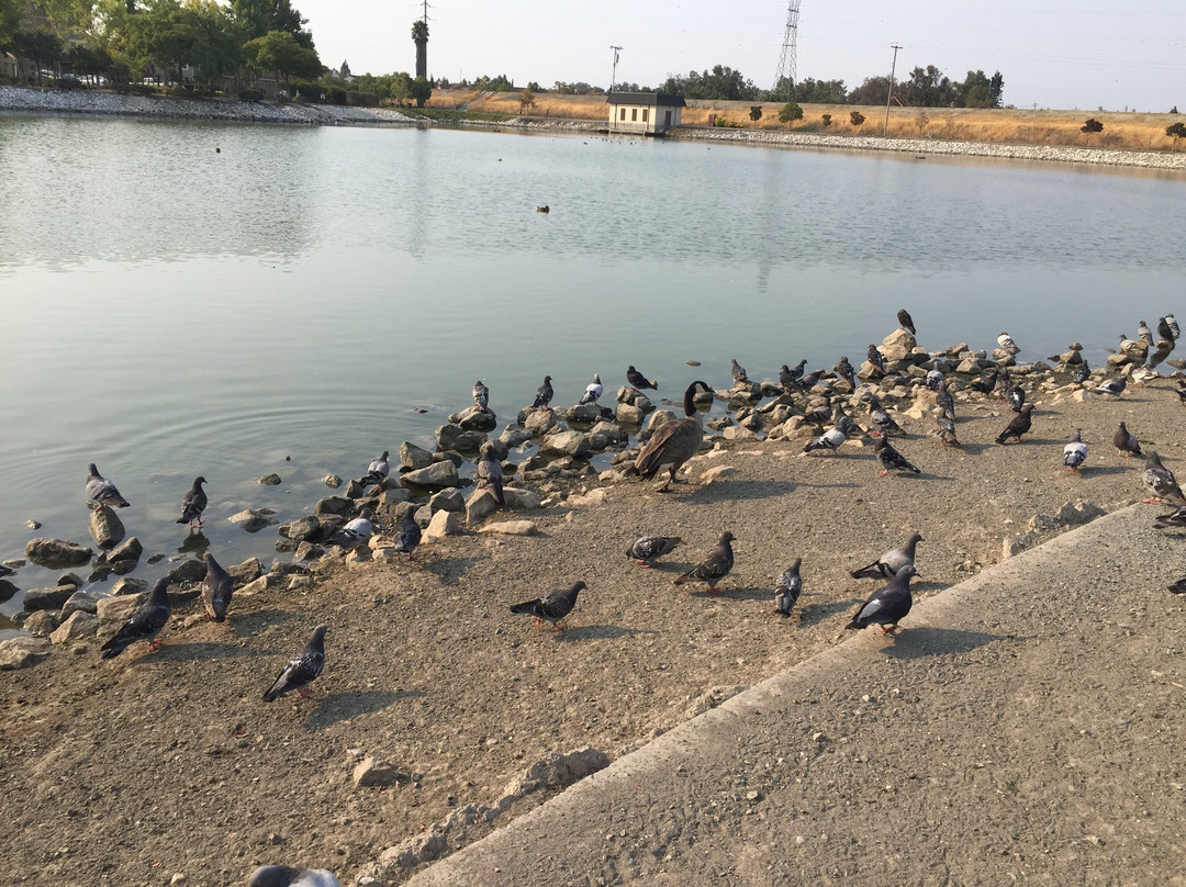 Hidden Lake Park景点图片