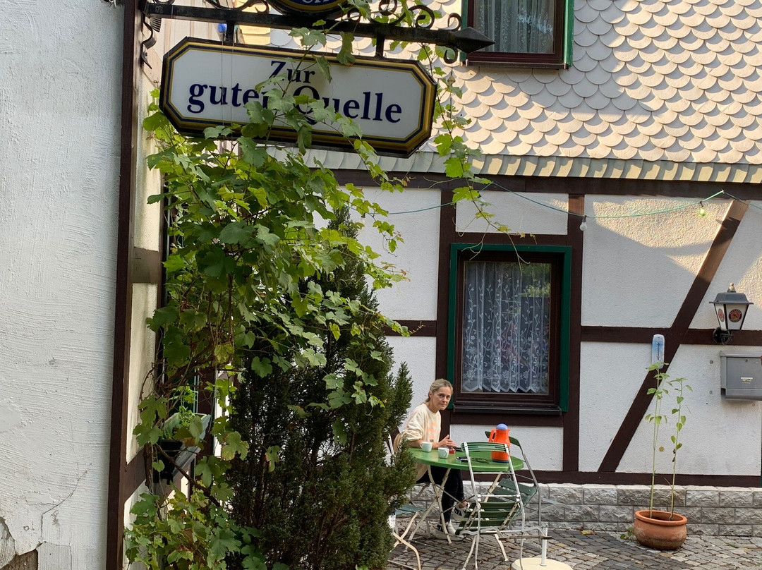 Landhotel Zur guten Quelle主图