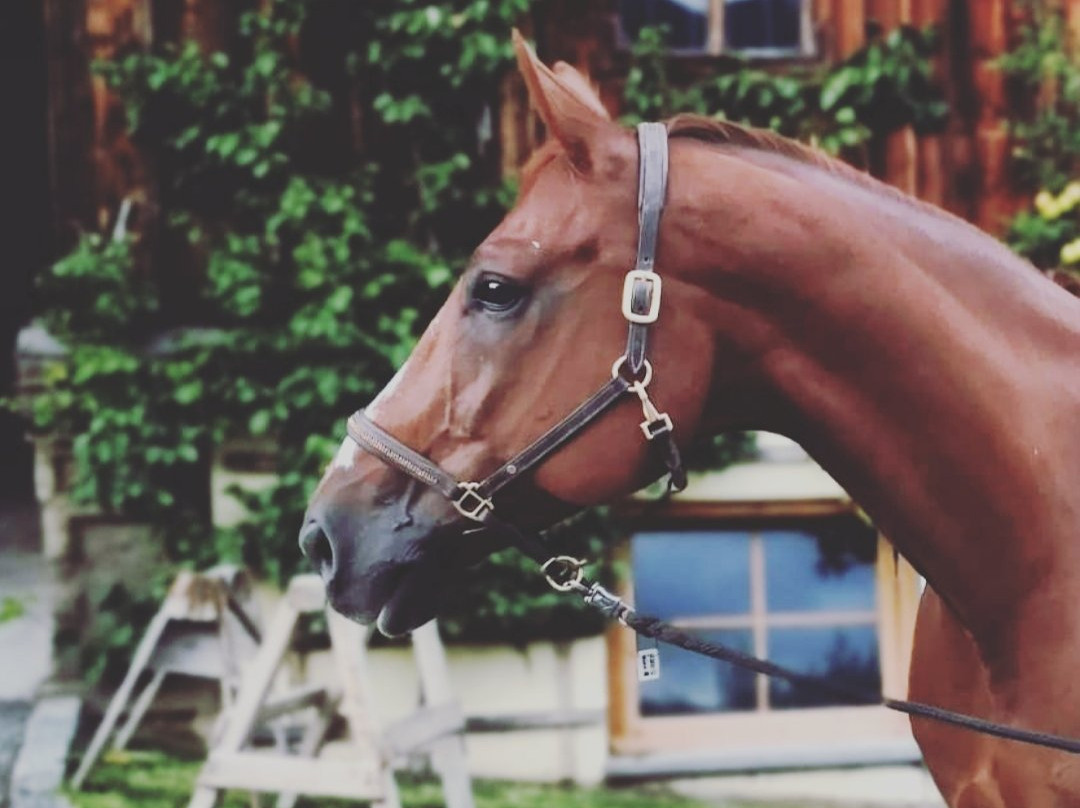 Gut Weissenhof主图