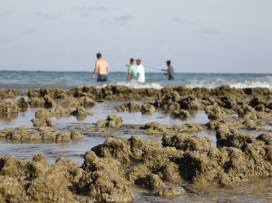 Gray Line Brazil-累西腓必去景点
