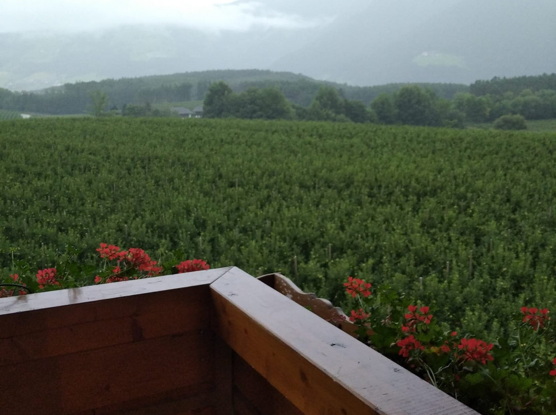 Mineralienhotel主图