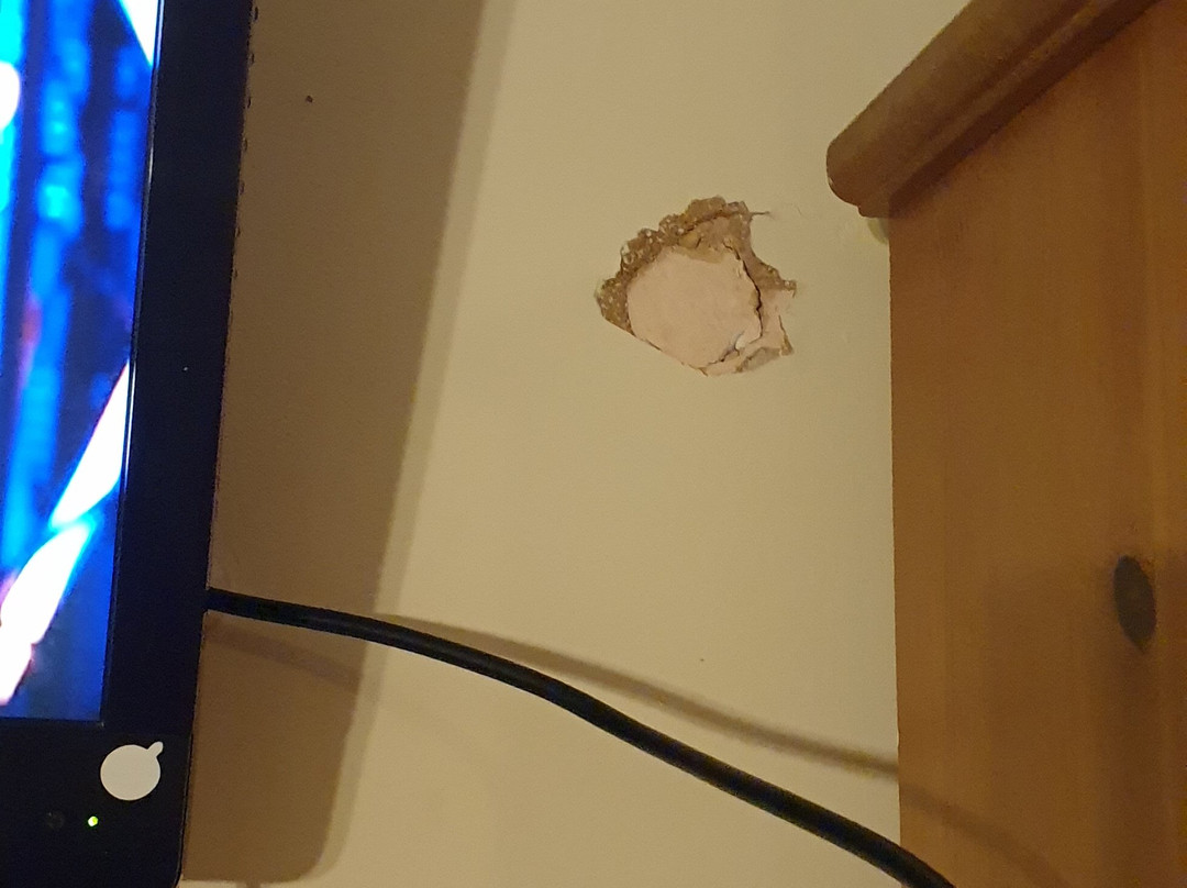 The Brentwood Hotel主图