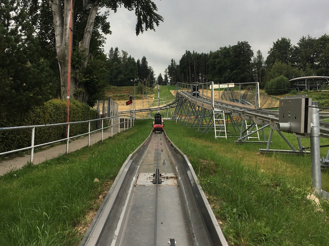 Kolorowa Luge, Karpacz (Tory saneczkowe Kolorowa, Karpacz)景点图片