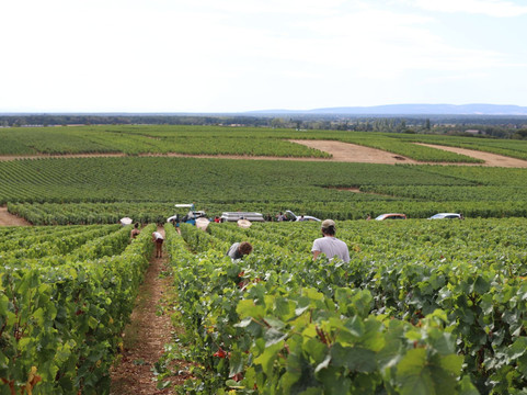 Domaine Francois Lumpp-Givry必去景点