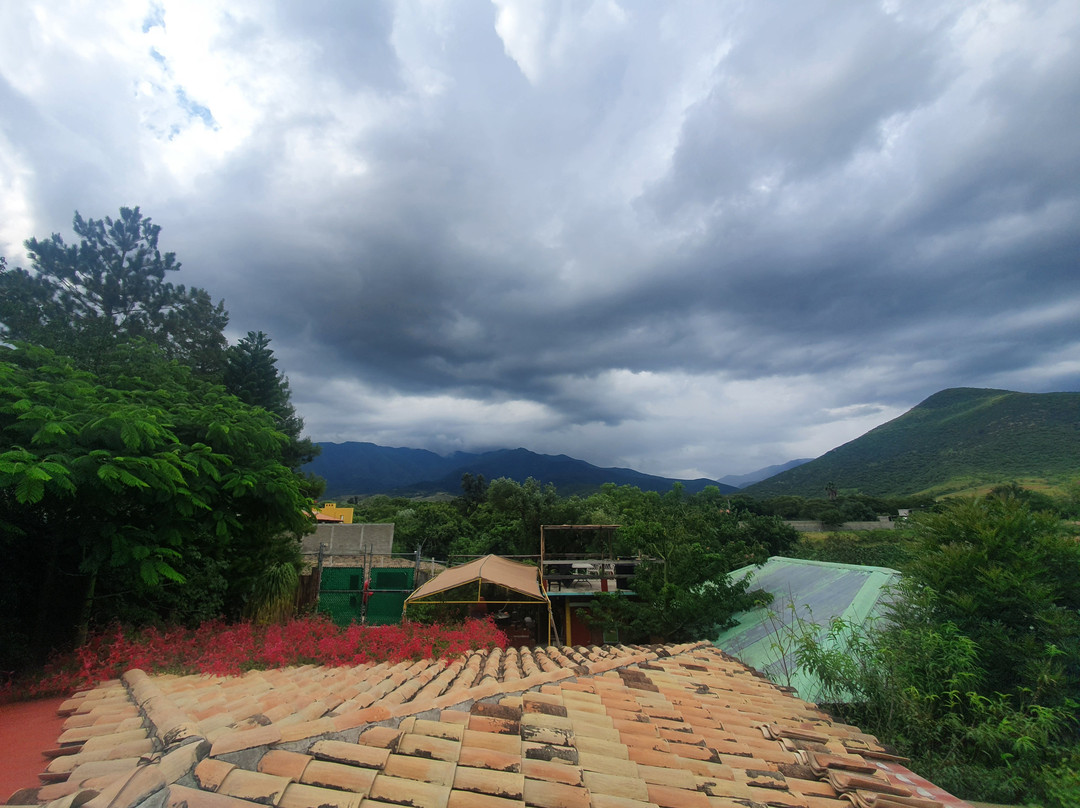 Ceviarem Temazcal Oaxaca景点图片
