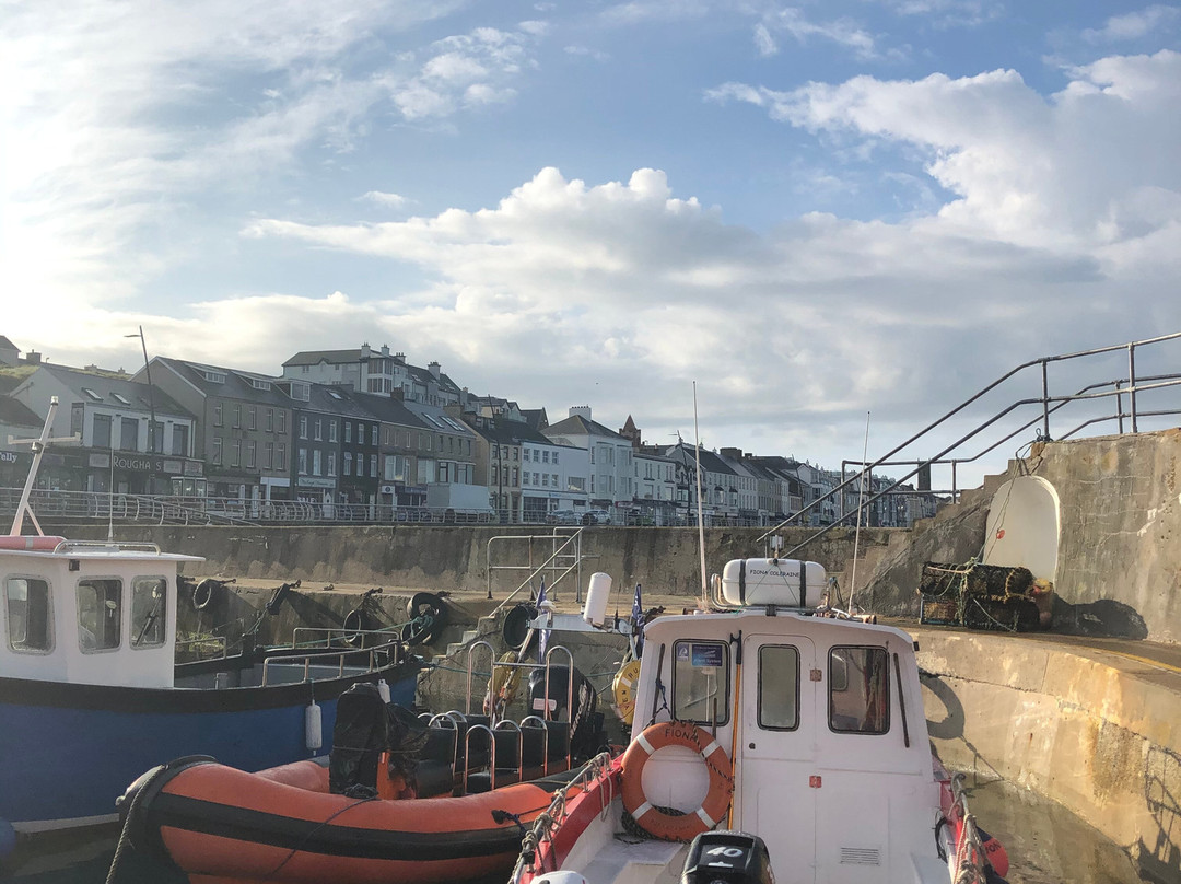 Causeway Coast Foodie Tours-科尔雷恩必去景点