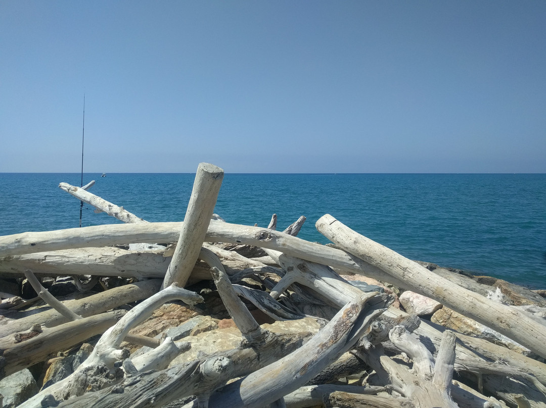 Marina di Bibbona - Marina di Cecina Trail景点图片