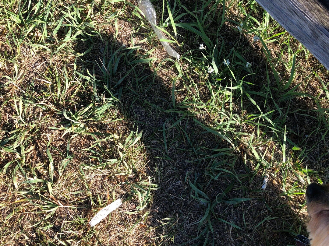 Muskallonge Lake State Park-Newberry必去景点