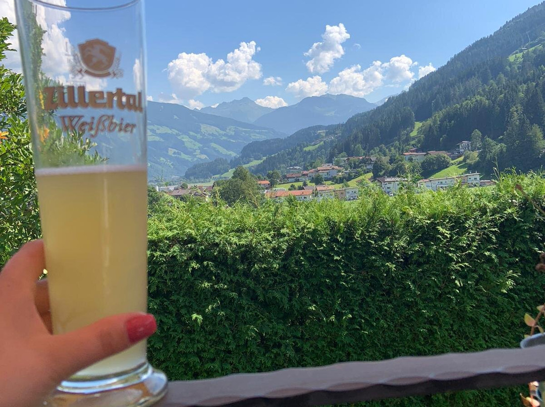 Wiesenhof Pension主图