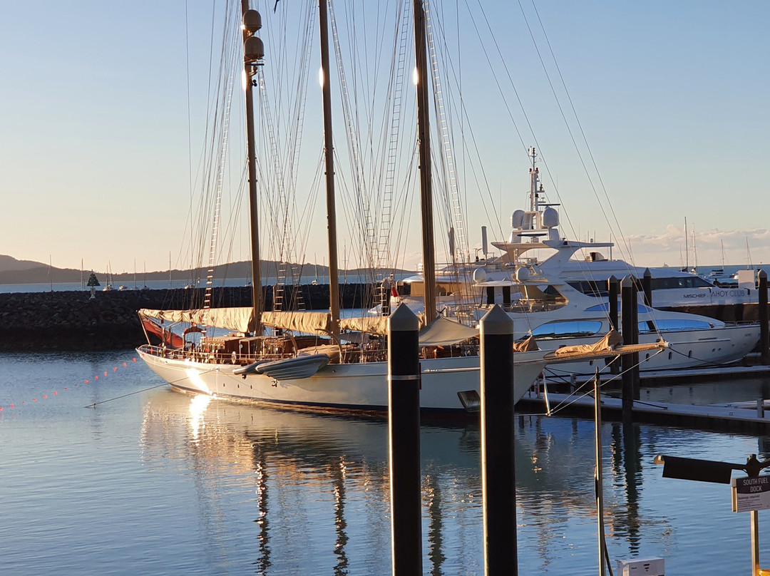 Coral Sea Marina-艾尔利滩必去景点
