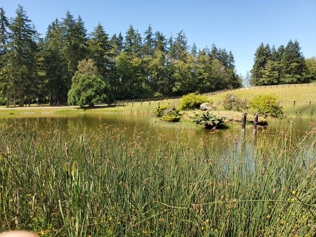 Wildwood Bed & Breakfast-官方