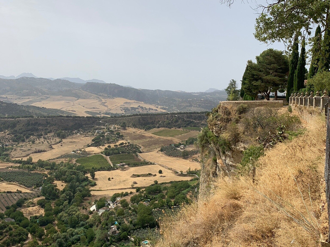 Mirador Paseo Blas Infante景点图片
