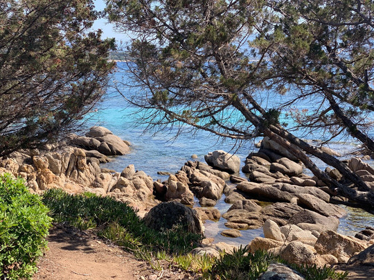 Tour Génoise De Capanella-Serra-di-Ferro必去景点