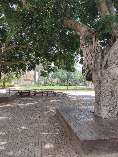 First Aliyah Museum景点图片