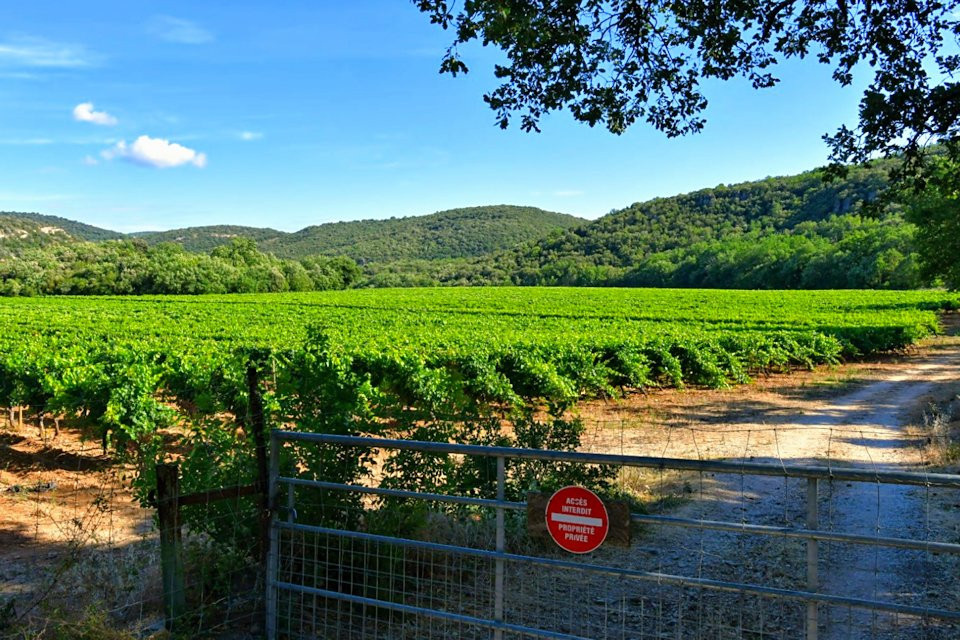 Les Hauts D'issensac主图