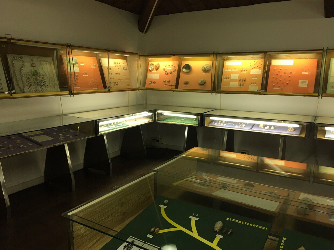 Museo delle Conchiglie景点图片