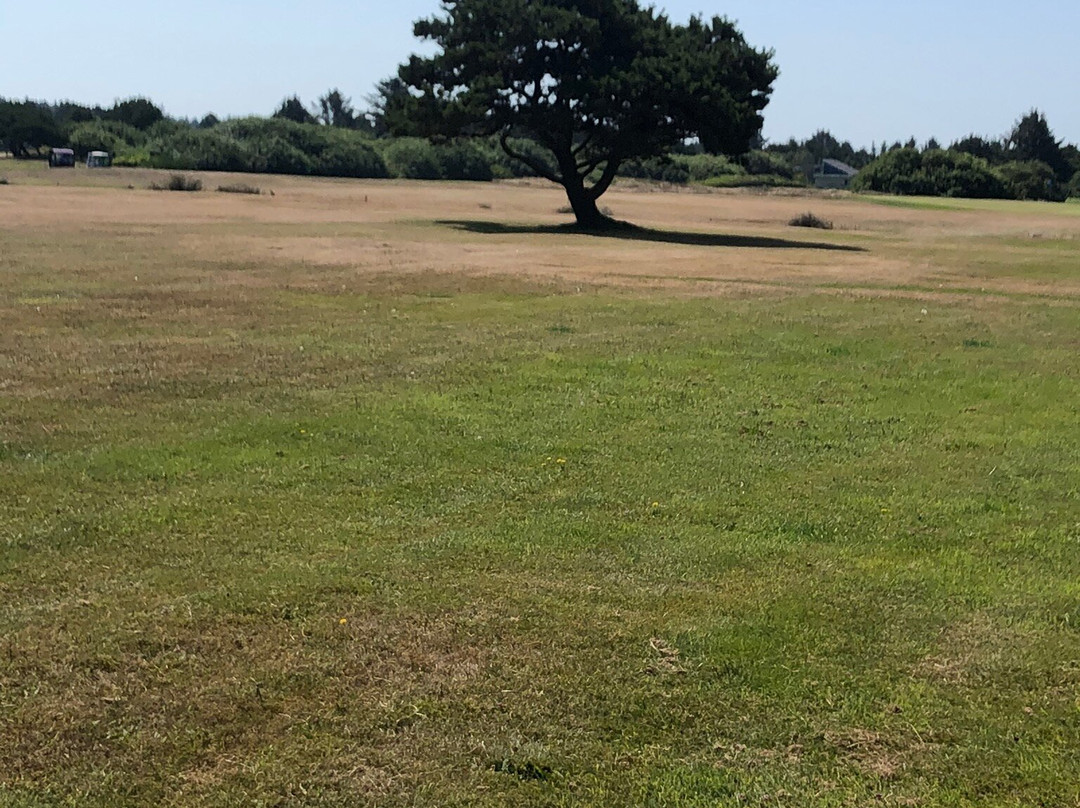 海洋海岸旅馆&套房酒店主图