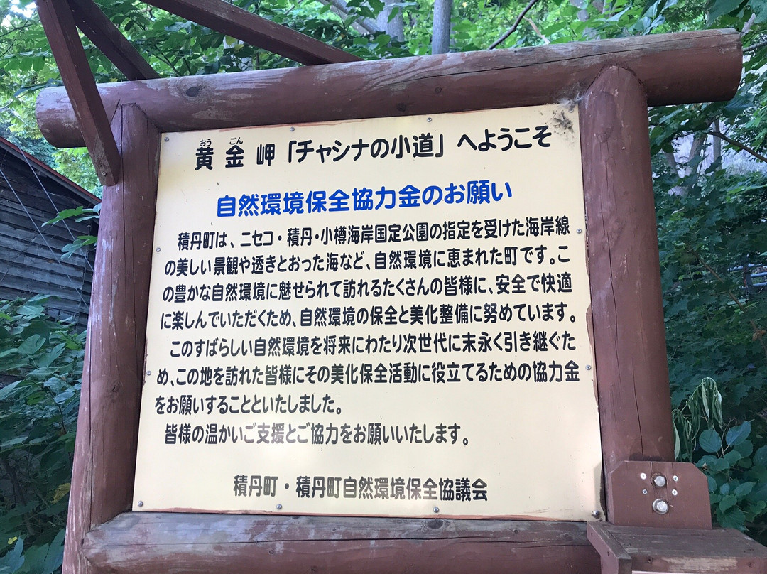 Monument of Chiharu Matsuyama's Roman-积丹町必去景点