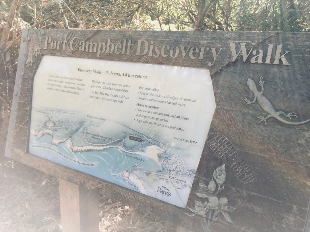 Port Campbell Scenic Lookout-坎贝尔港必去景点