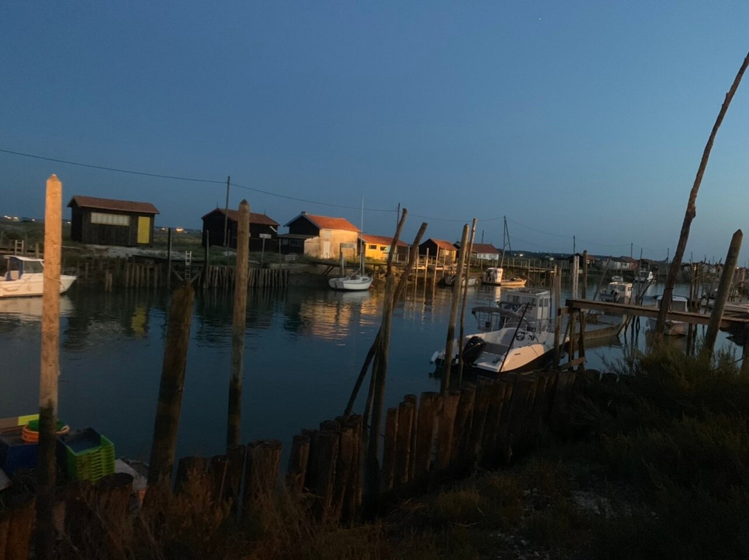 幻想曲别墅酒店主图