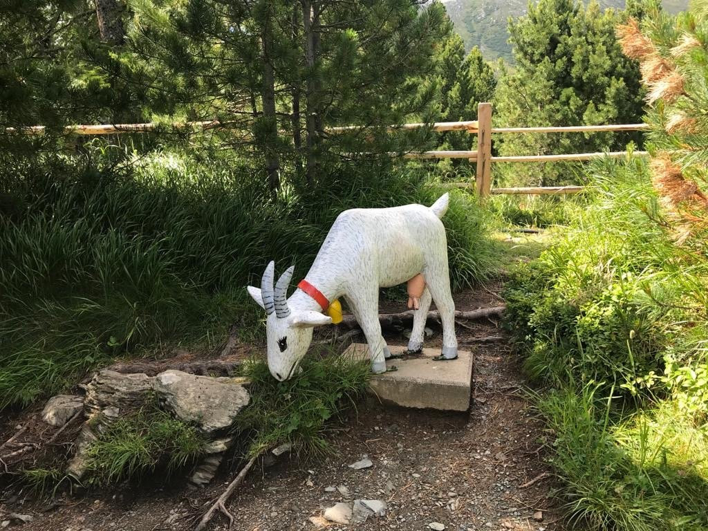 Heidi Alm Bergresort-Falkert必去景点