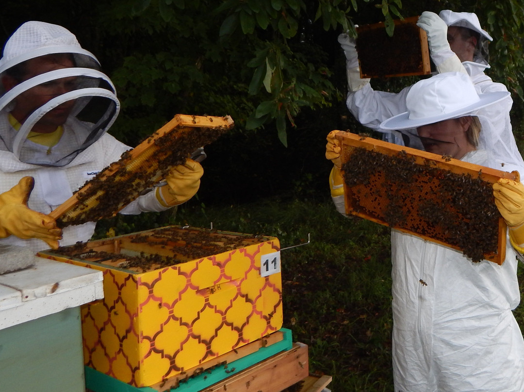 BayBees Honey, LLC-Whaleyville必去景点