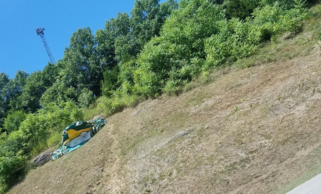 Frog Rock-Waynesville必去景点