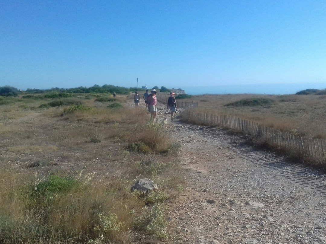 Phare du Cap Leucate-Leucate必去景点