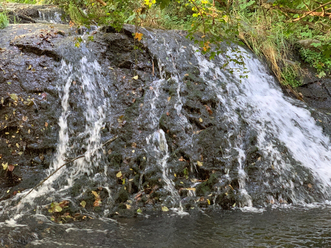 Cascade des Saliens景点图片