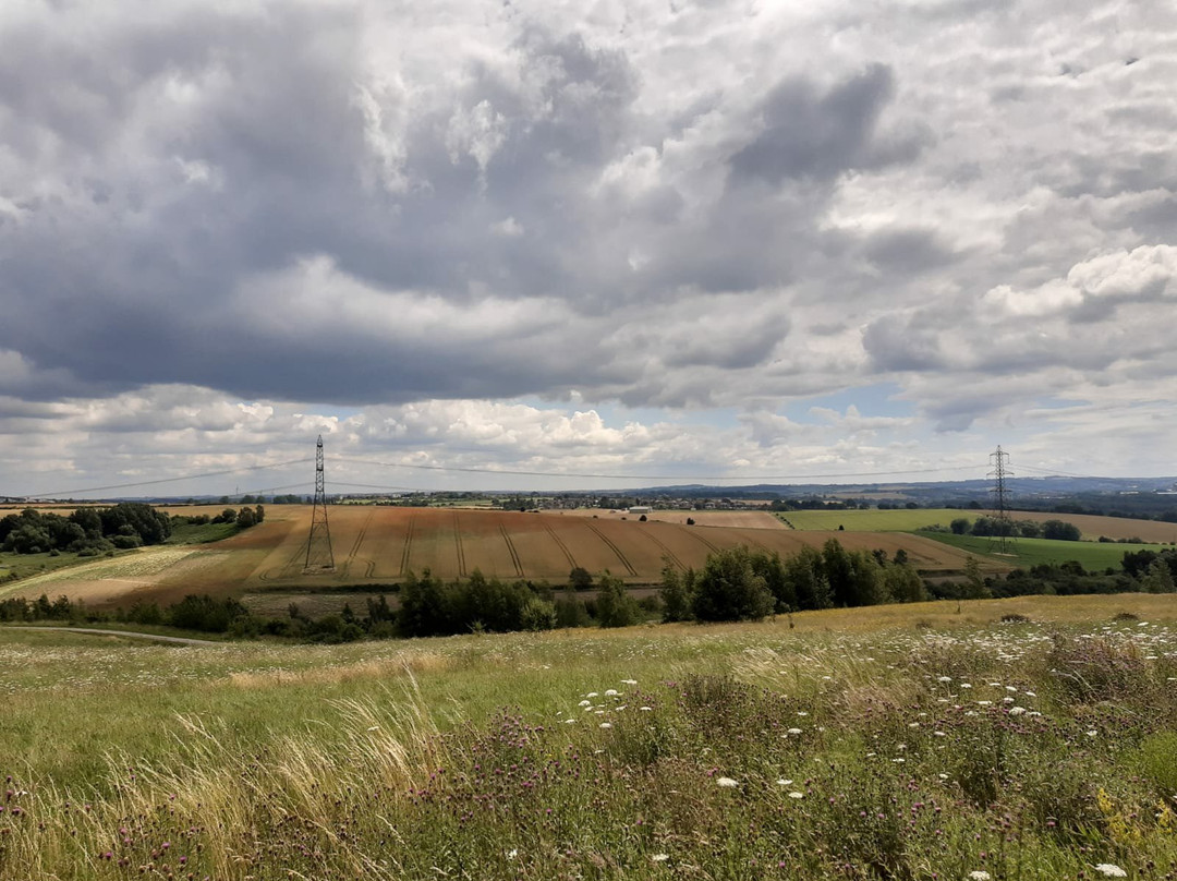Rabbit Ings Country Park-Royston必去景点