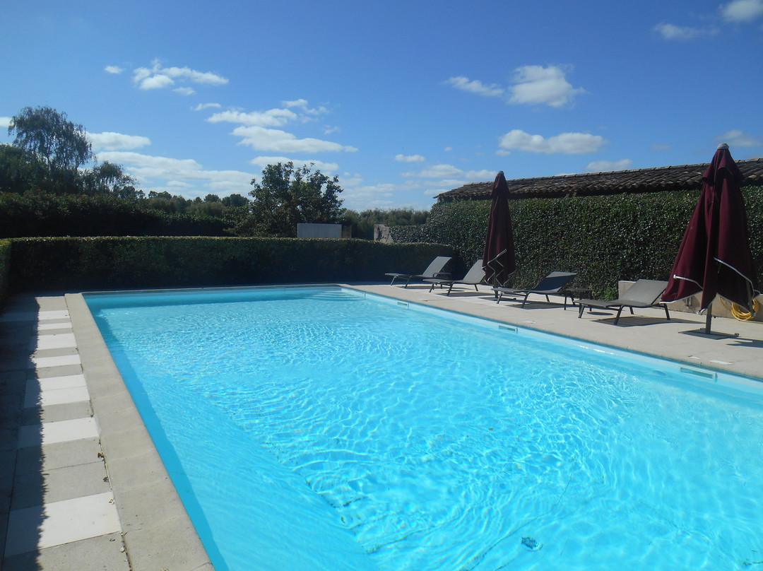 Chateau Ormes de Pez主图