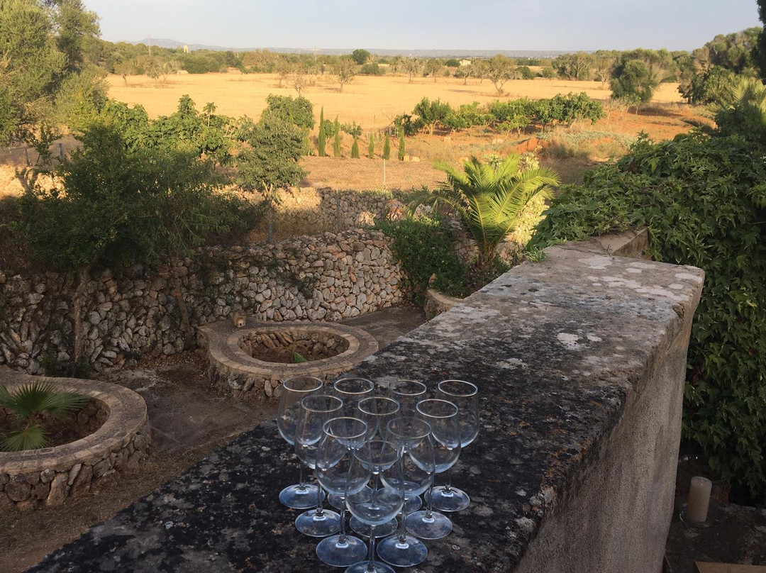 Mallorca Wine Tours景点图片