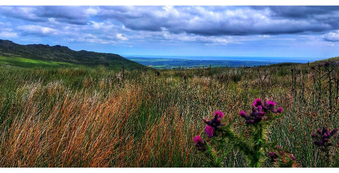Mahon Falls (a.k.a. Eas na Machan)-County Waterford必去景点