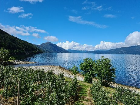 Hardangerfjordactive景点图片