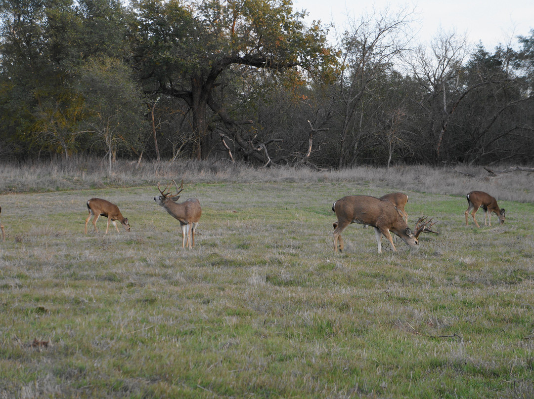 Ancil Hoffman Park-Carmichael必去景点