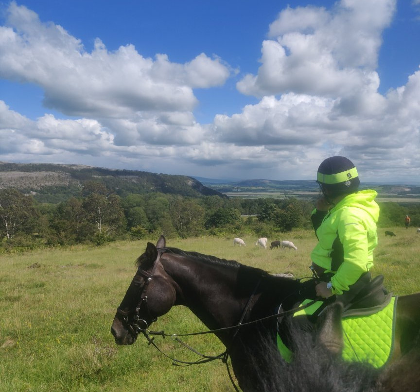Witherslack Hall Equestrian Centre-Grange-over-Sands必去景点