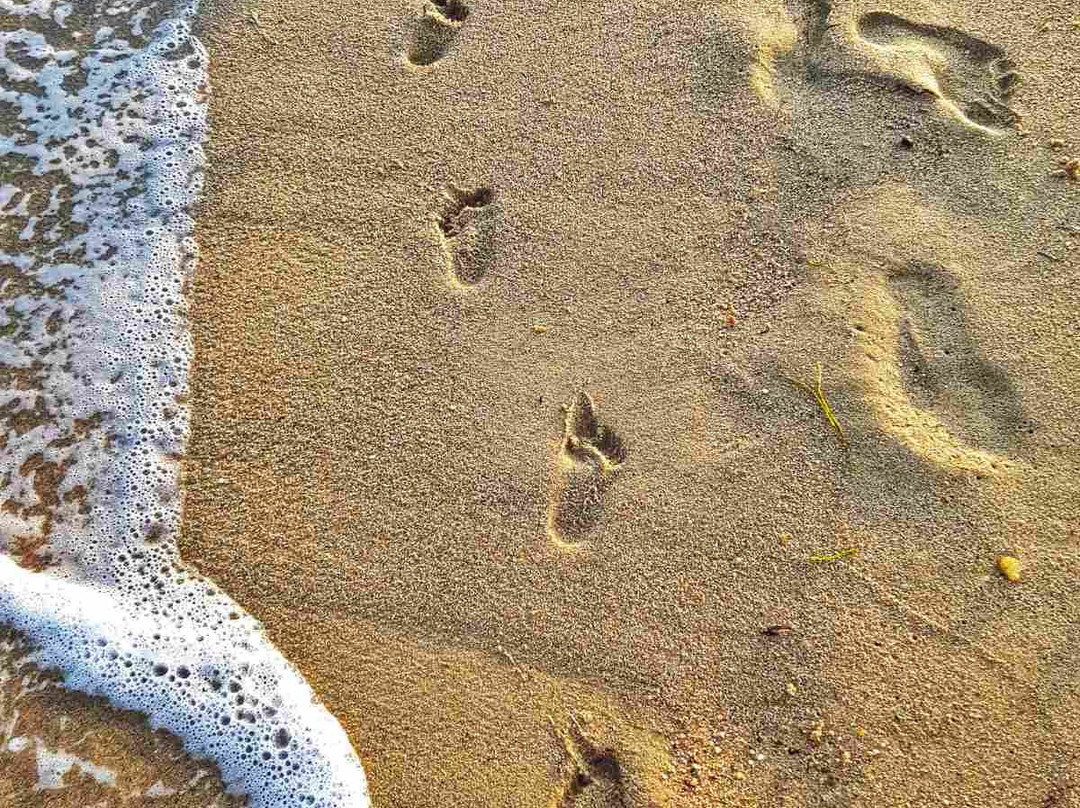 Potamos Beach景点图片
