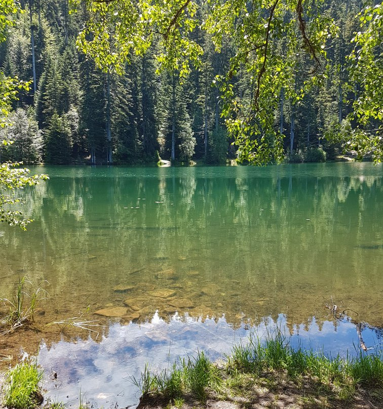 Lac de la Maix景点图片