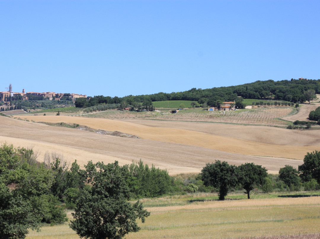 Azienda Agricola CasaGori景点图片