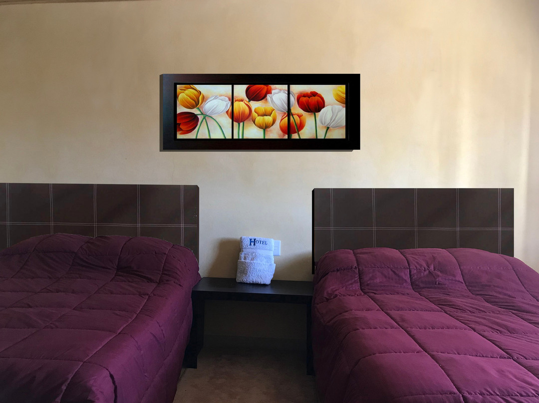 8 Hotel Ejecutivo