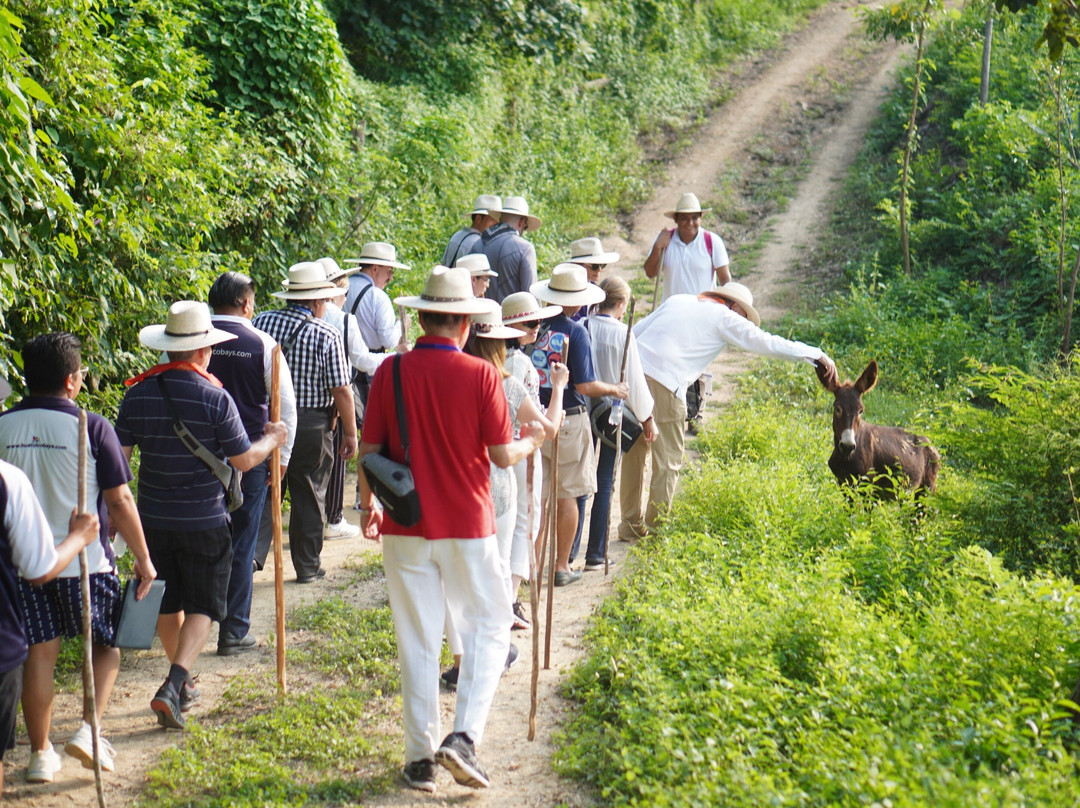Xpert Travel Huatulco TOURS