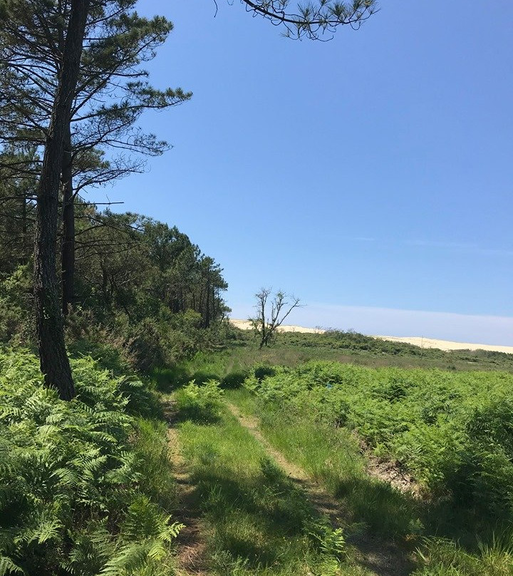 Trott'in Landes-Messanges必去景点
