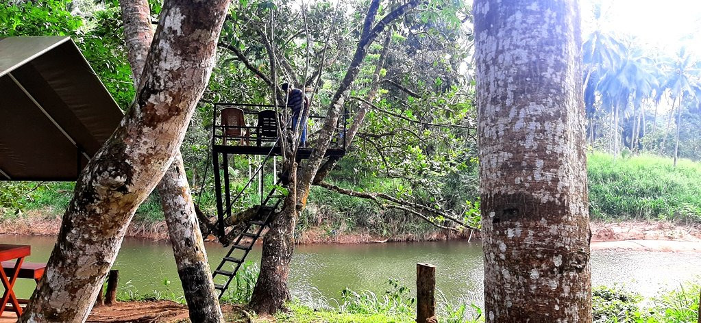 360 Rainforest主图