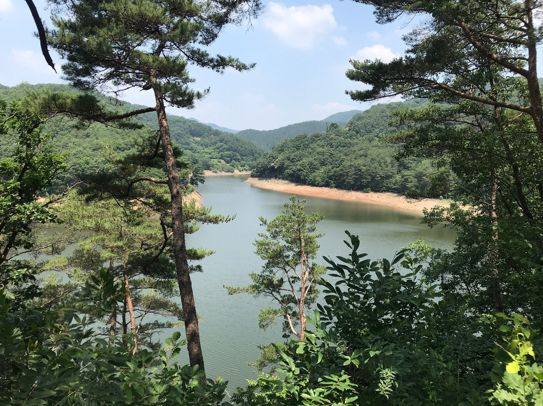 Cheonjang Lake Suspension Bridge-青阳郡必去景点