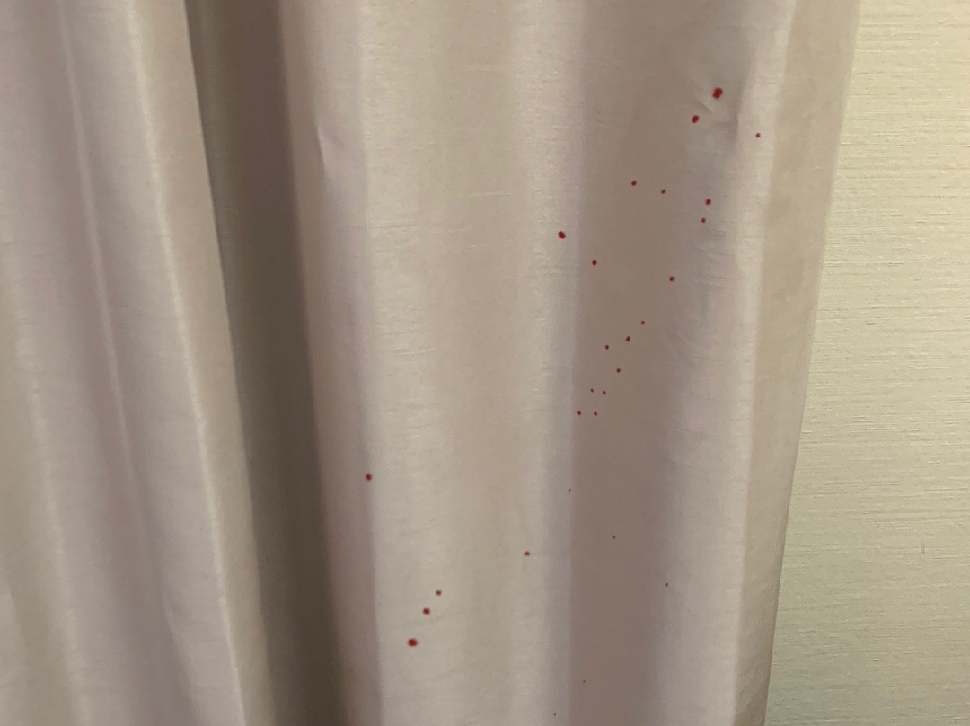 Comfort Inn & Suites主图