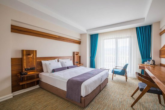 Karpalas City Hotel & Spa主图