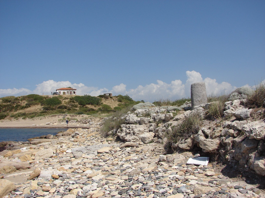 Troas Antik Liman景点图片